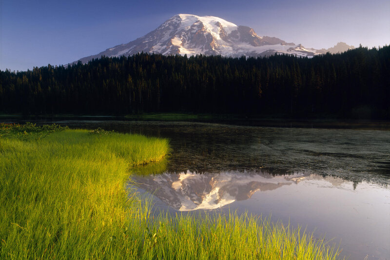Mountain Reflection in Lake — Green