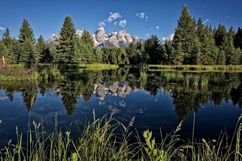 Mountain Reflection in Pond — Blue, Serene, Afternoon, Photograph, Trees