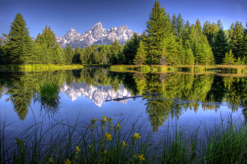 Mountain Reflection in Pond — Blue, Serene, Morning