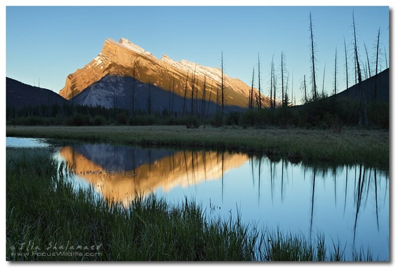 Mountain Reflection in Pond — Blue, Serene, Sunrise