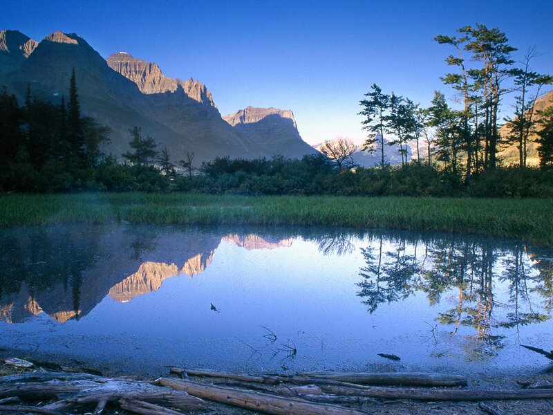 Mountain Reflection in Pond — Blue, Serene