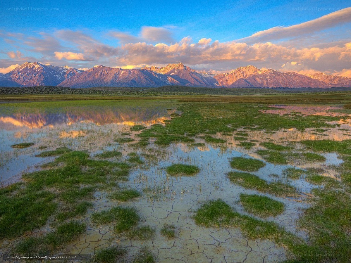 Mountain reflection in wetland