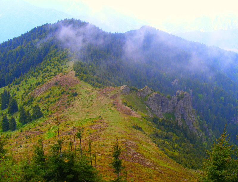 Mountain Ridge with Forest