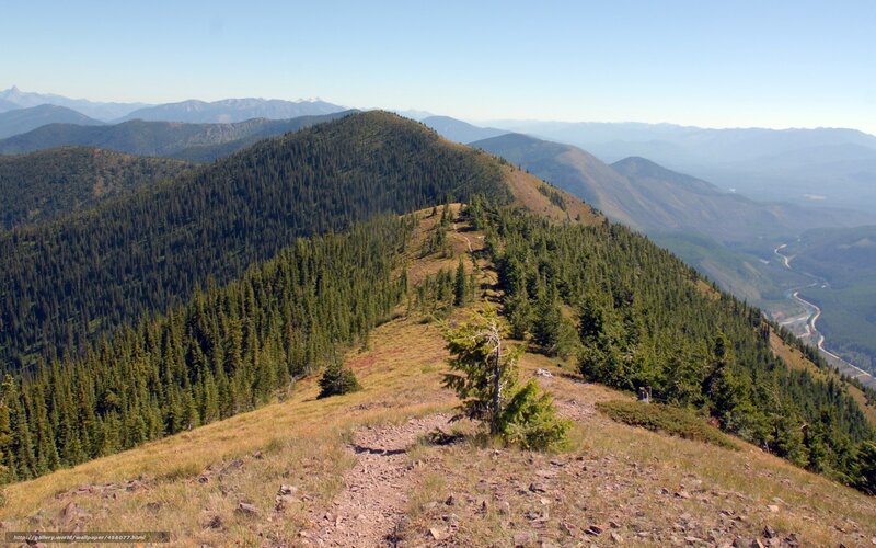 Mountain ridge with forest view