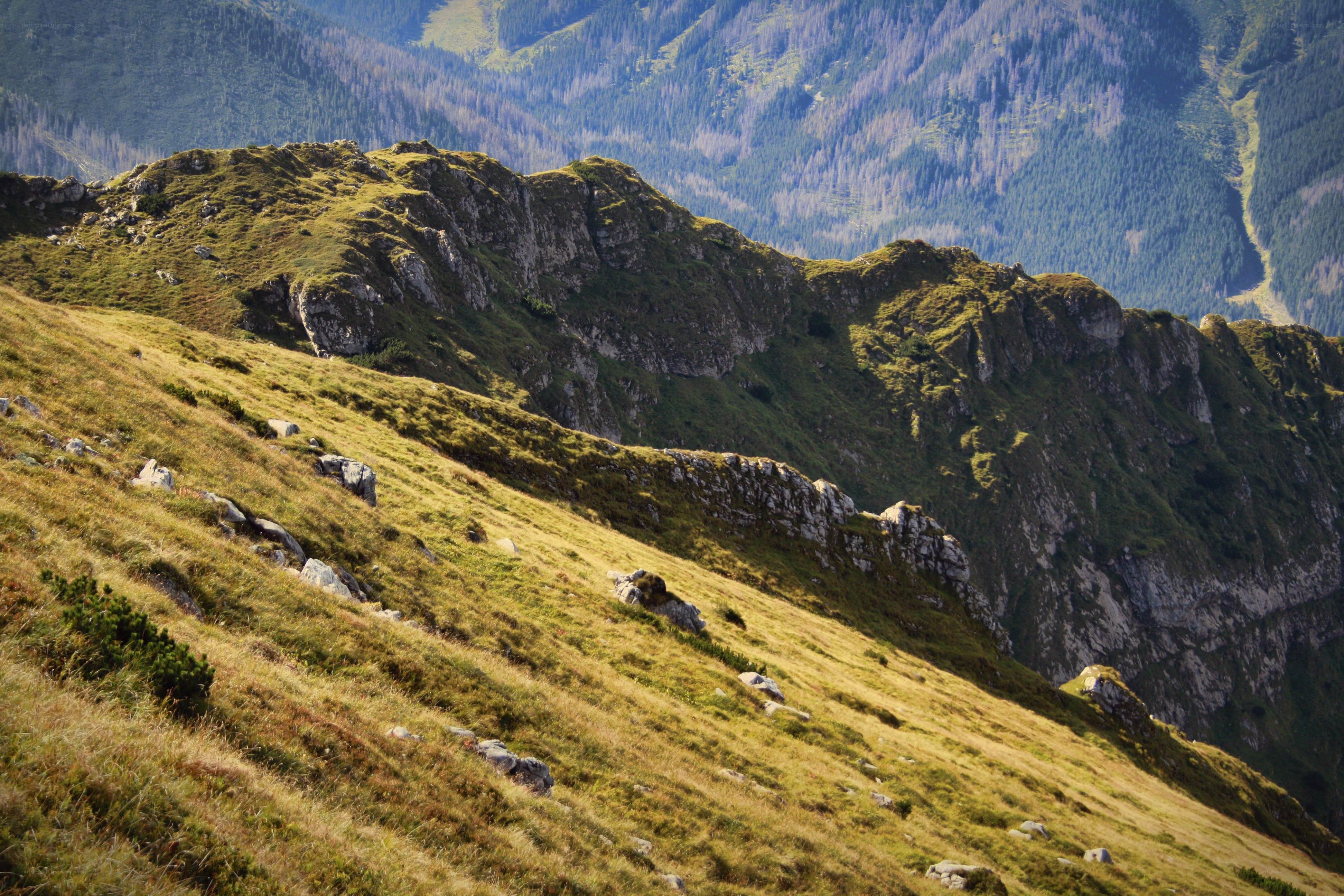 Mountain ridge with forested valley