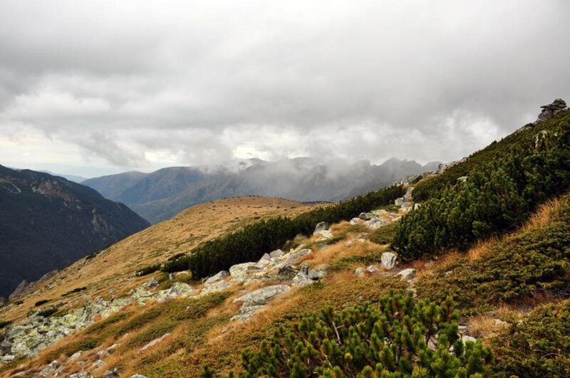 Mountain Ridge with Shrubs