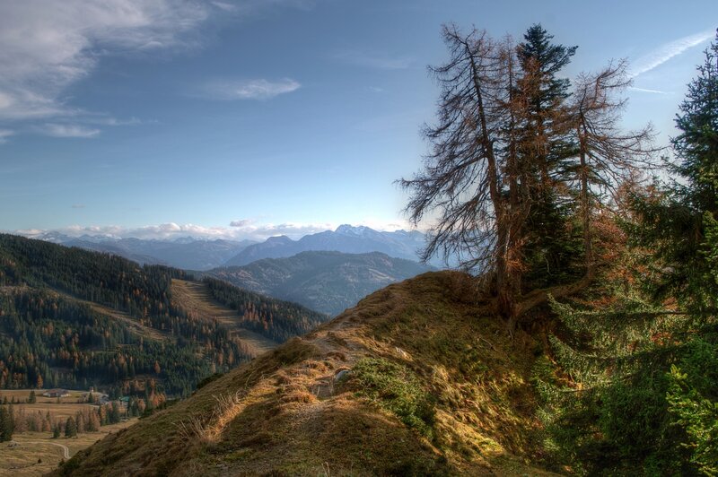 Mountain Ridge with Trees