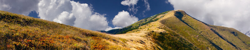 Mountain Ridge with Wildflowers — Green