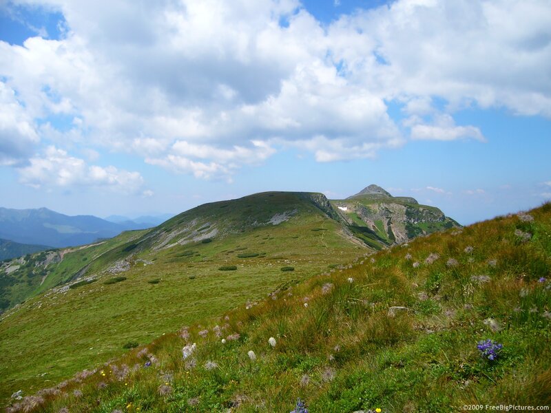 Mountain Ridge with Wildflowers