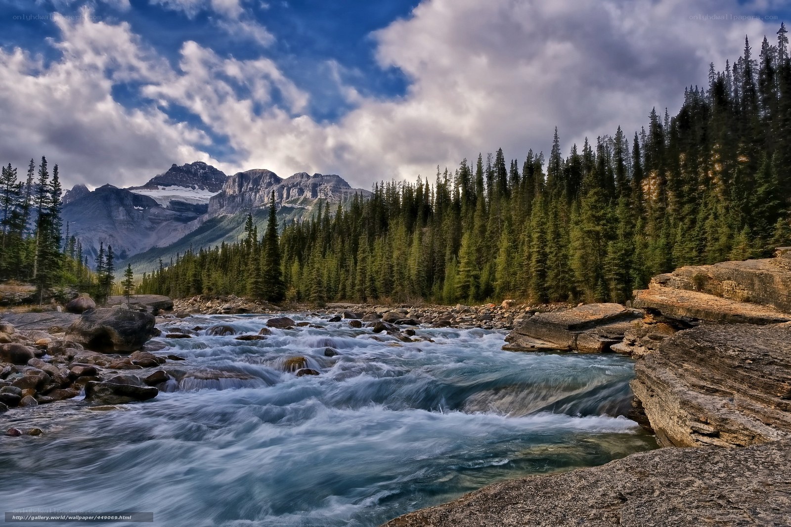 Mountain river flowing through forest