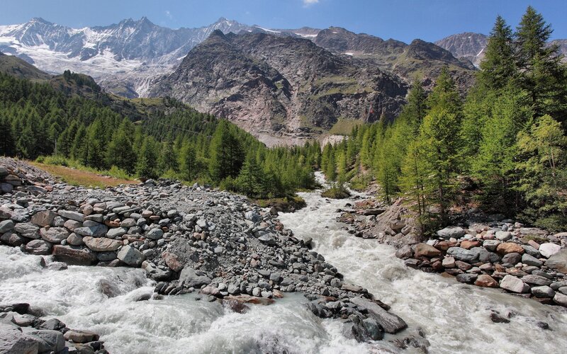 Mountain river flowing through forest