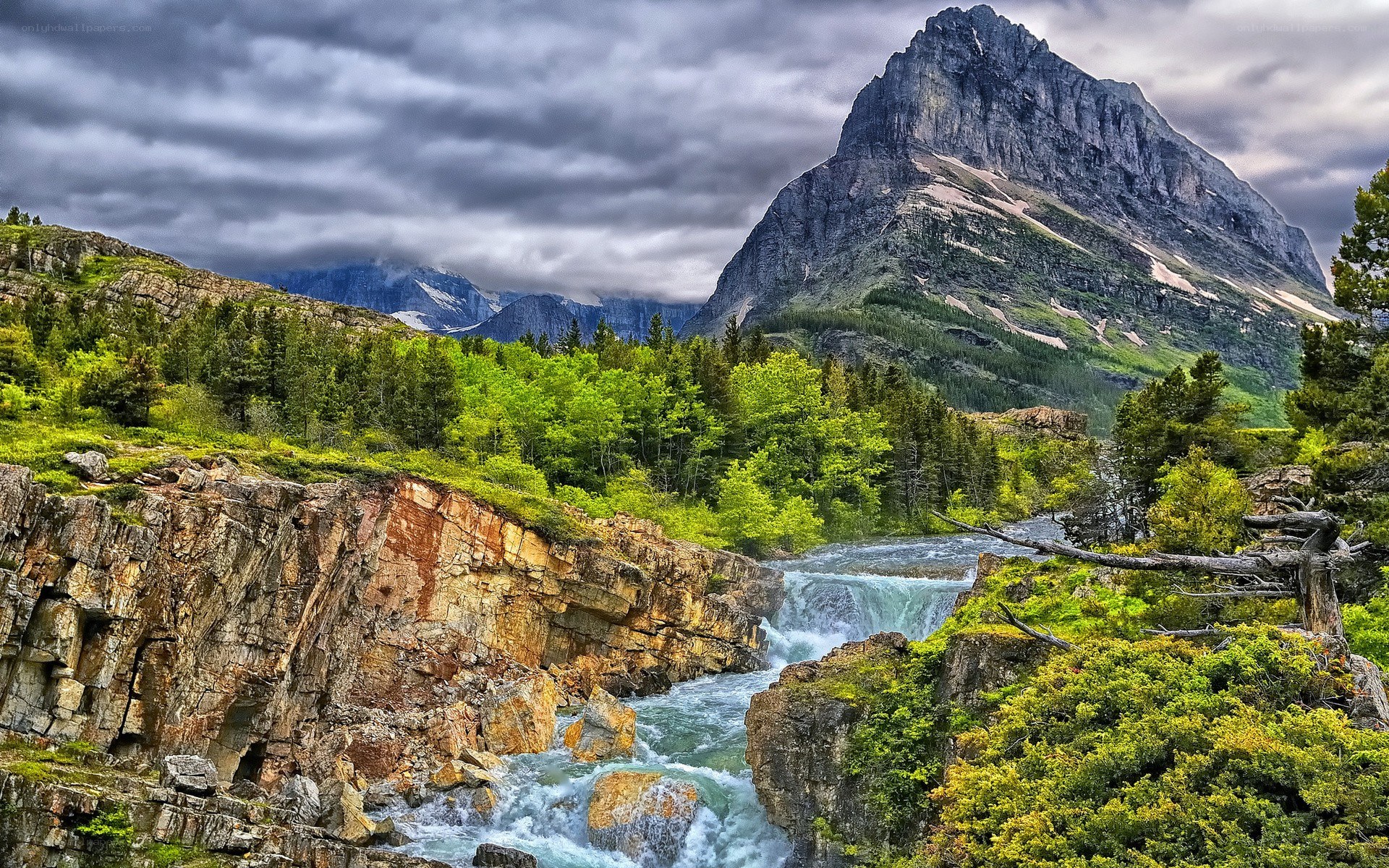 Mountain river flowing through forest