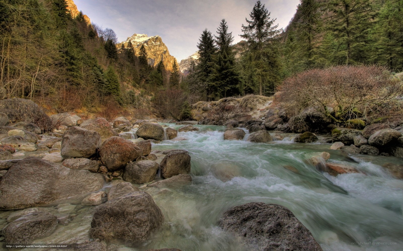 Mountain river flowing through forest