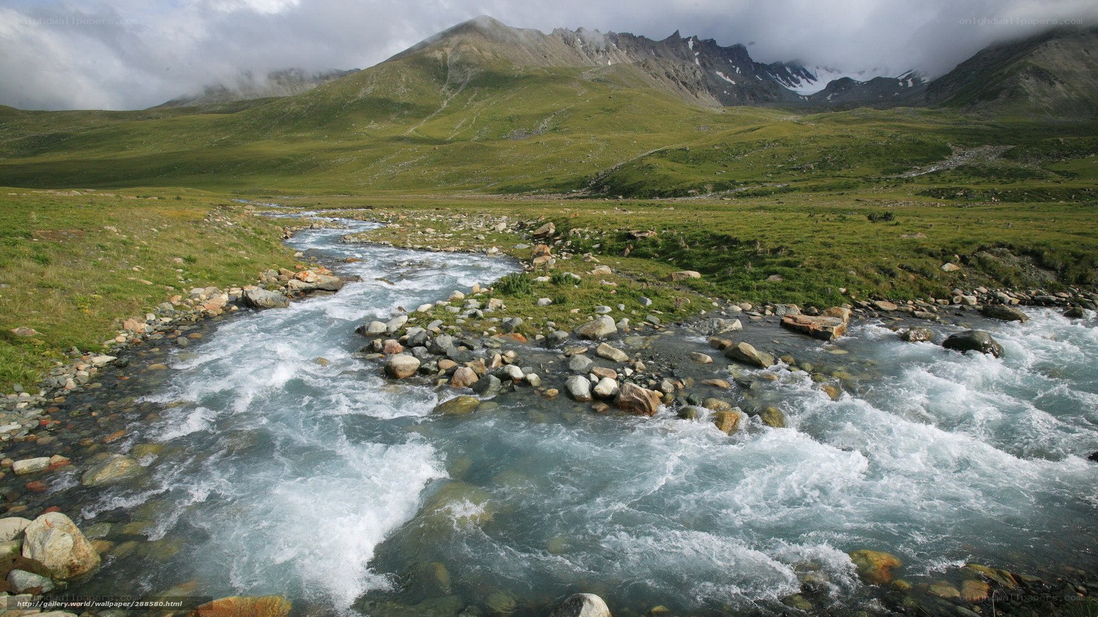 Mountain river flowing through meadow