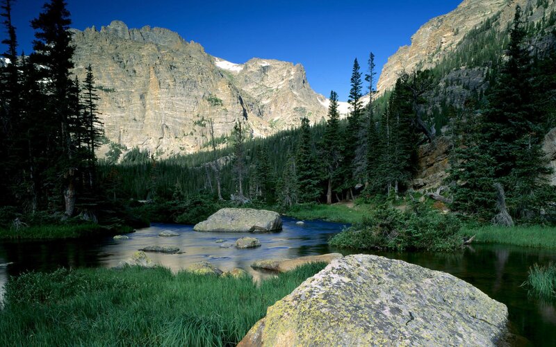 Mountain river in a forest