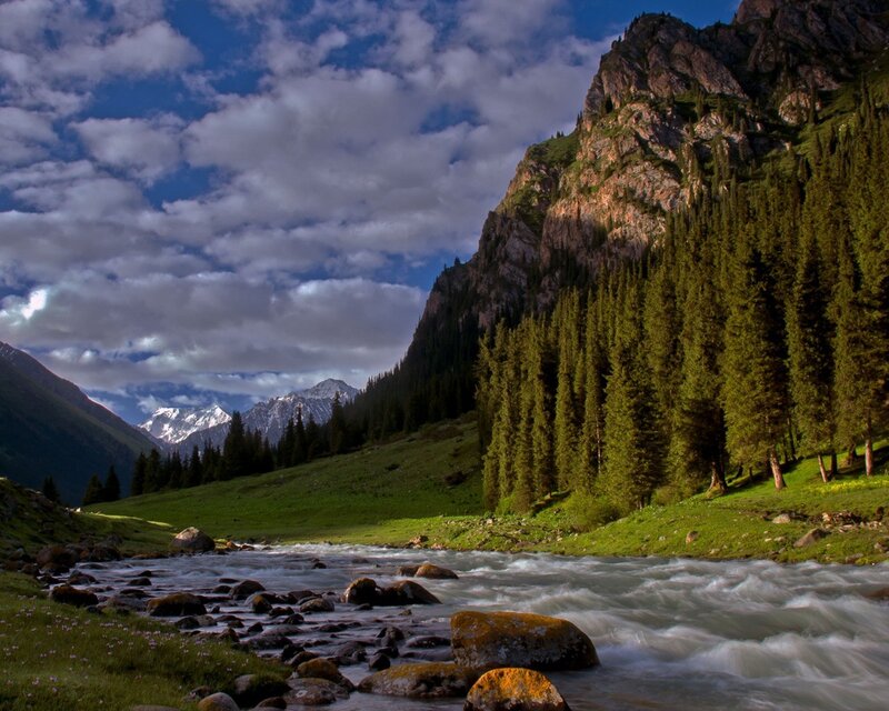 Mountain river in a forest valley