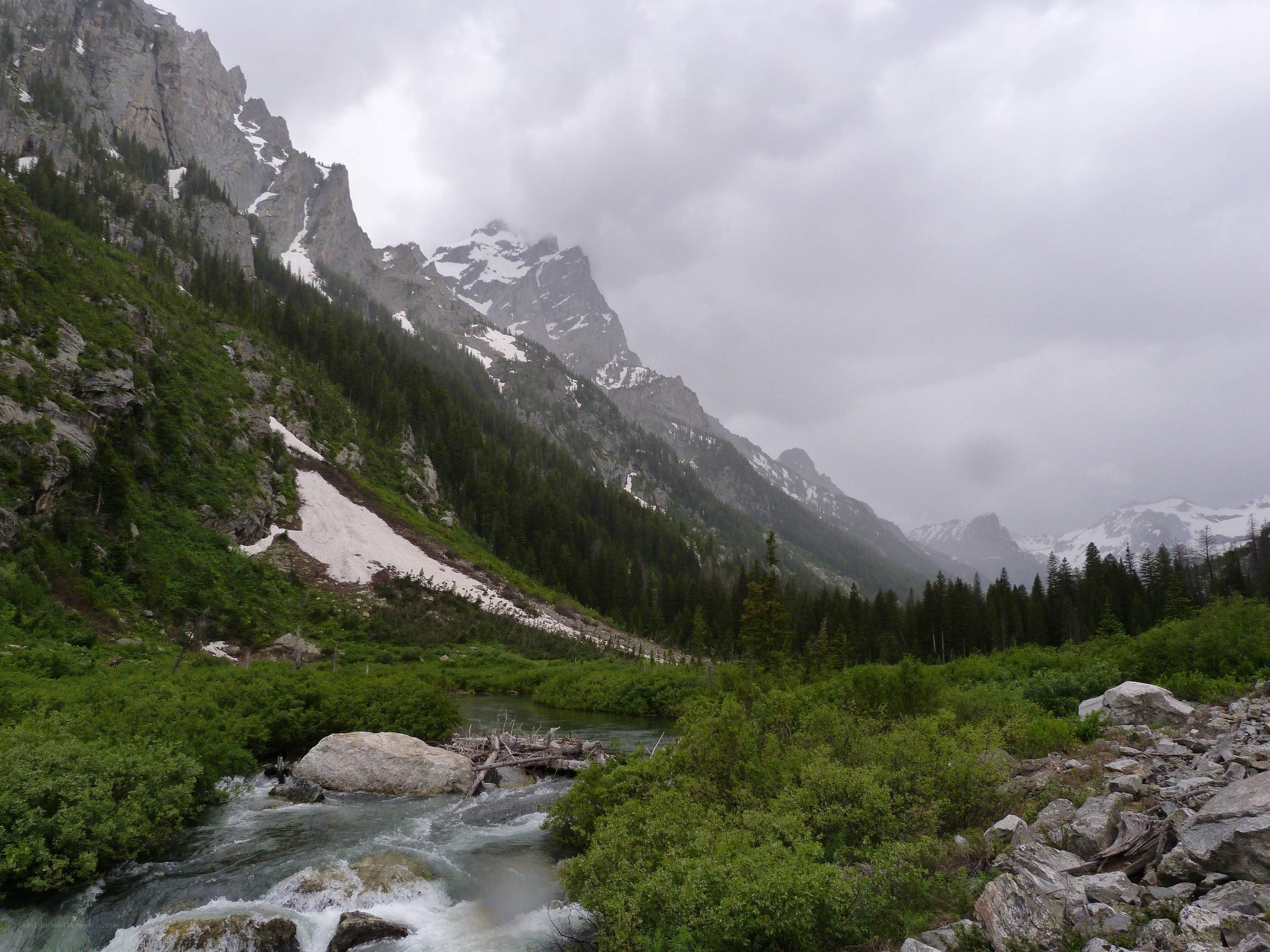 Mountain river in a forested valley