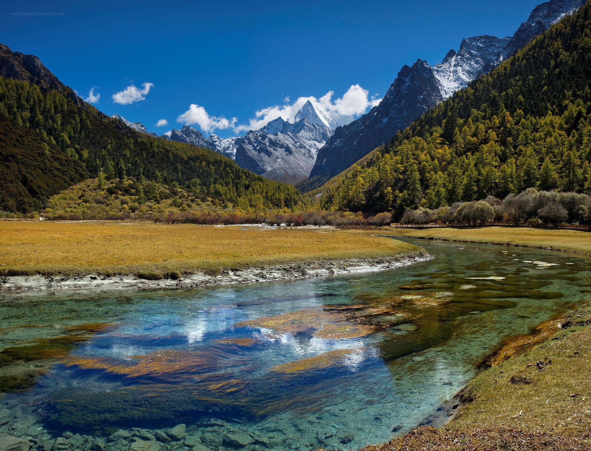 Mountain river in a valley