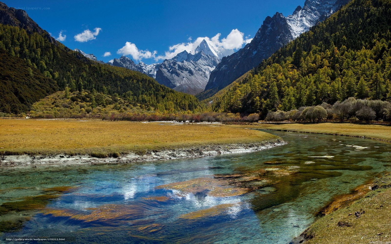 Mountain river in a valley