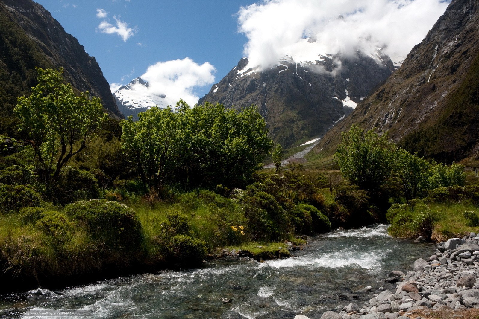 Mountain river in a valley