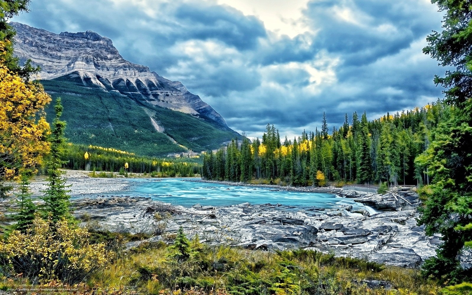Mountain river in autumn