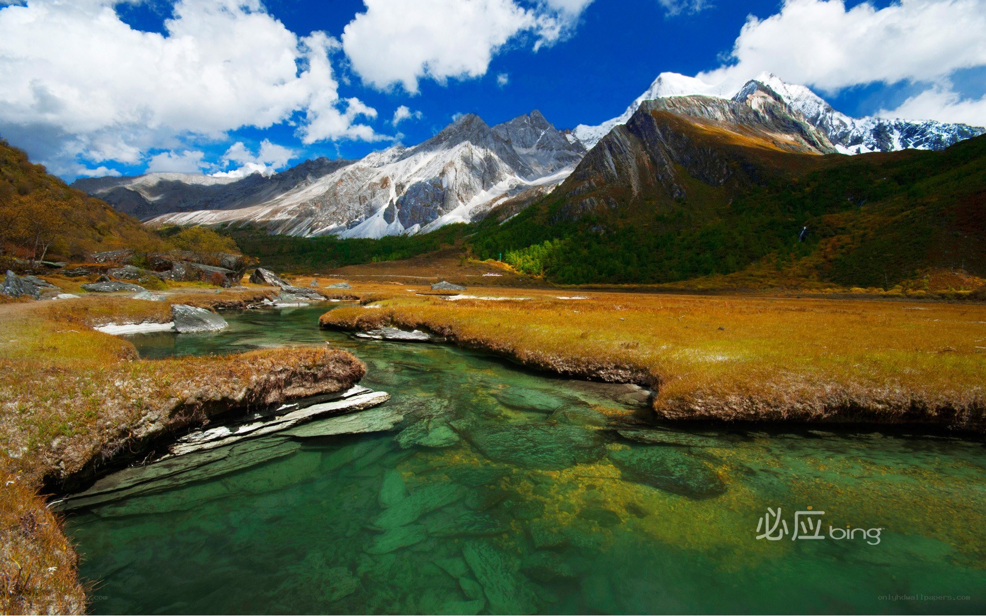 Mountain river in autumn landscape