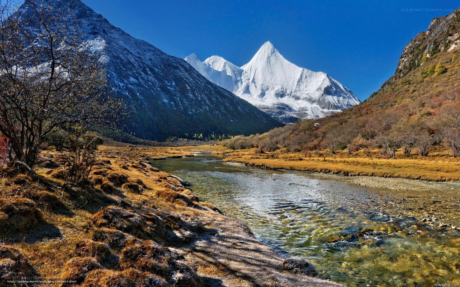 Mountain river in autumn