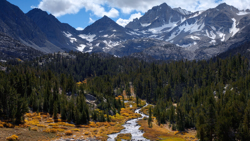 Mountain River in Forest — Green