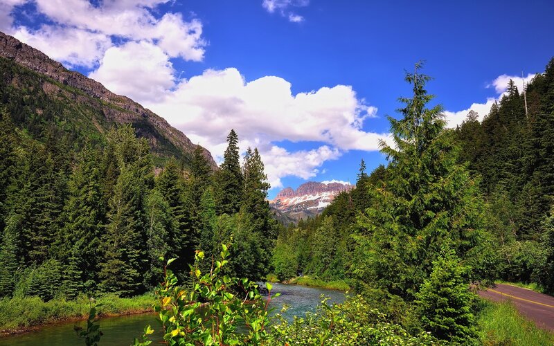 Mountain river in forest valley