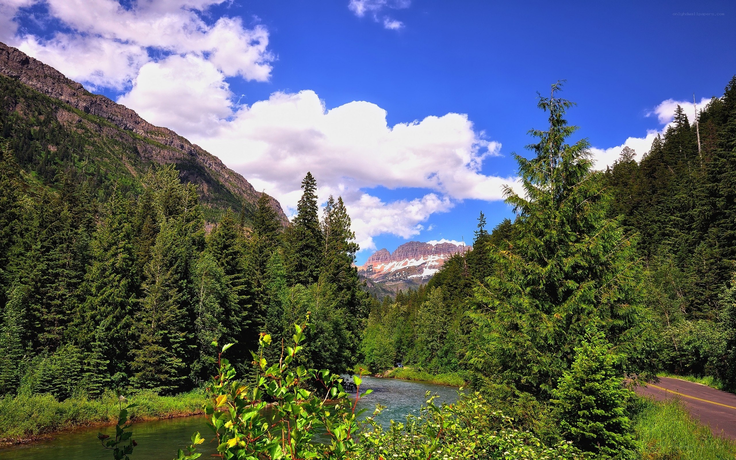 Mountain river in forest valley