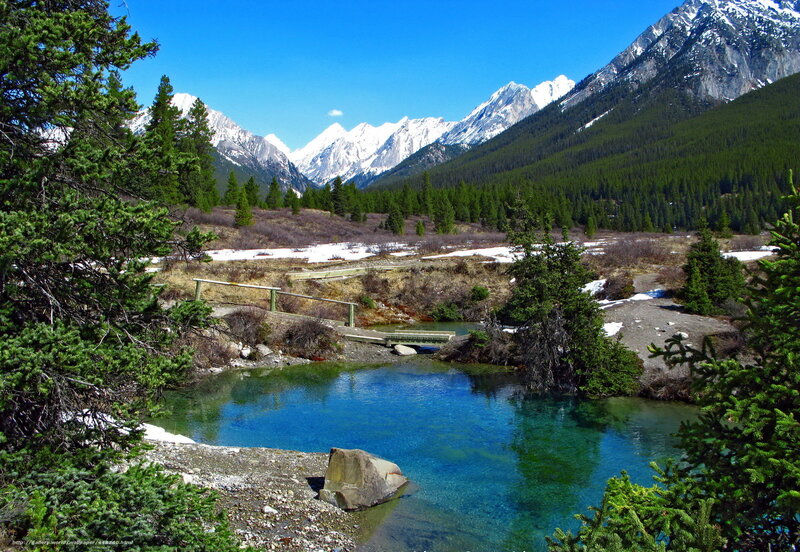 Mountain River in Spring