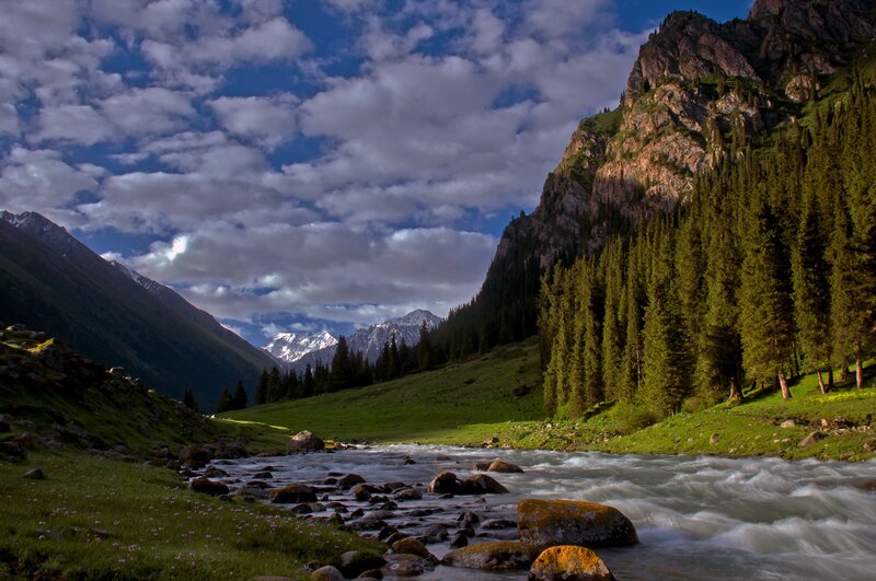 Mountain River in Valley — Green