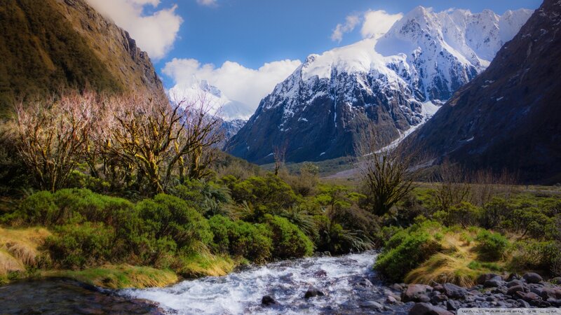 Mountain River in Valley