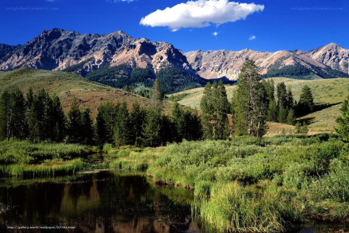 Mountain river landscape