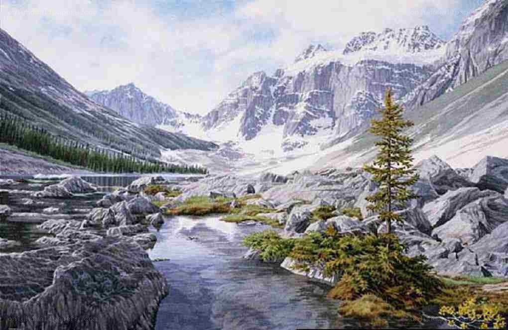 Mountain river landscape