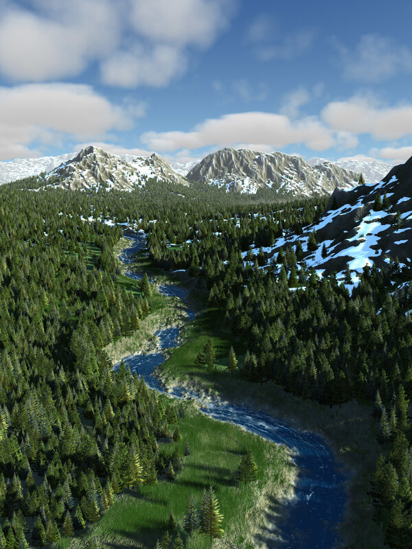 Mountain river through forest