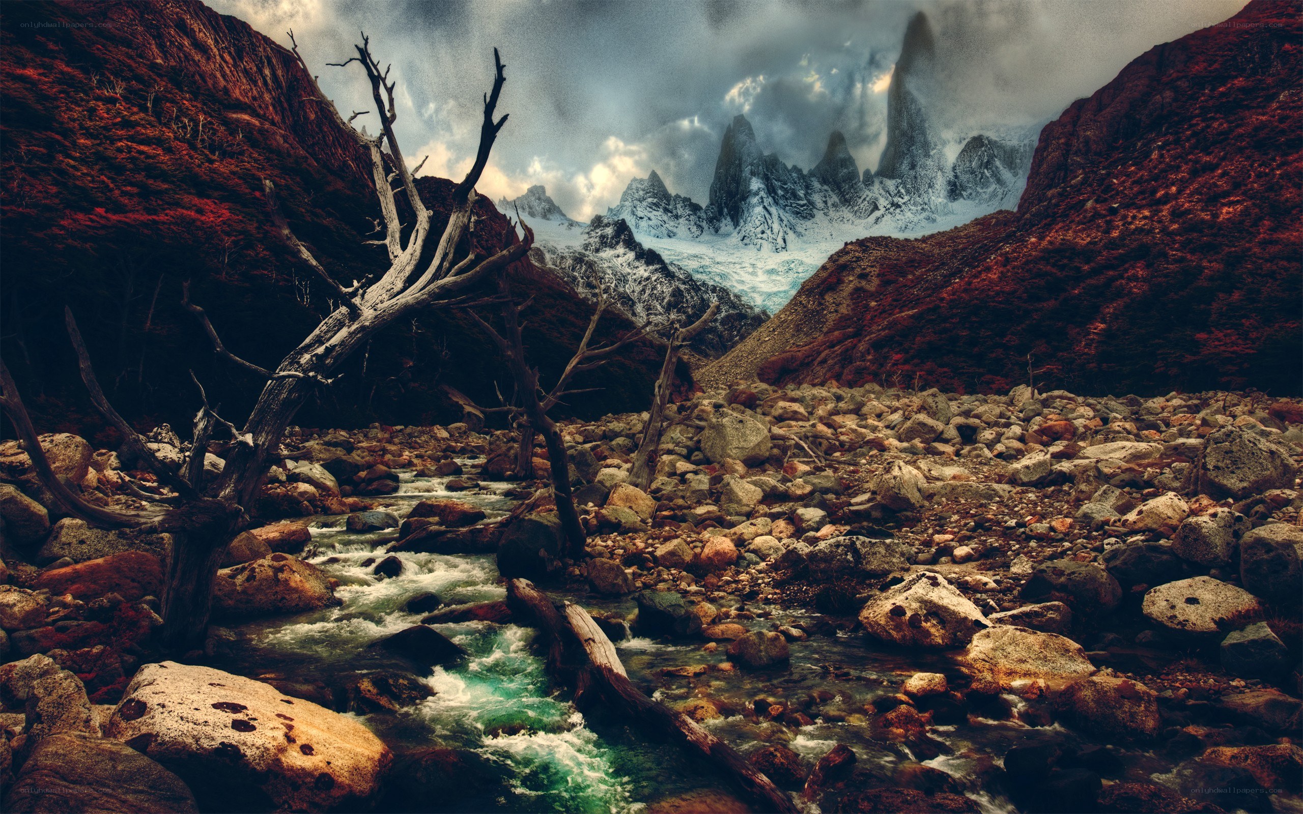 Mountain river with dead trees