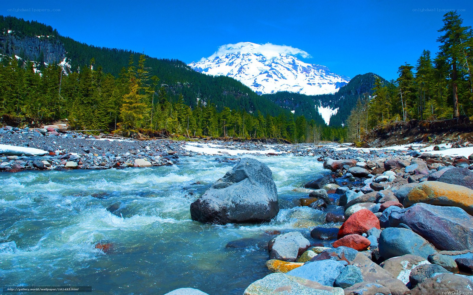 Mountain river with snow-capped peak