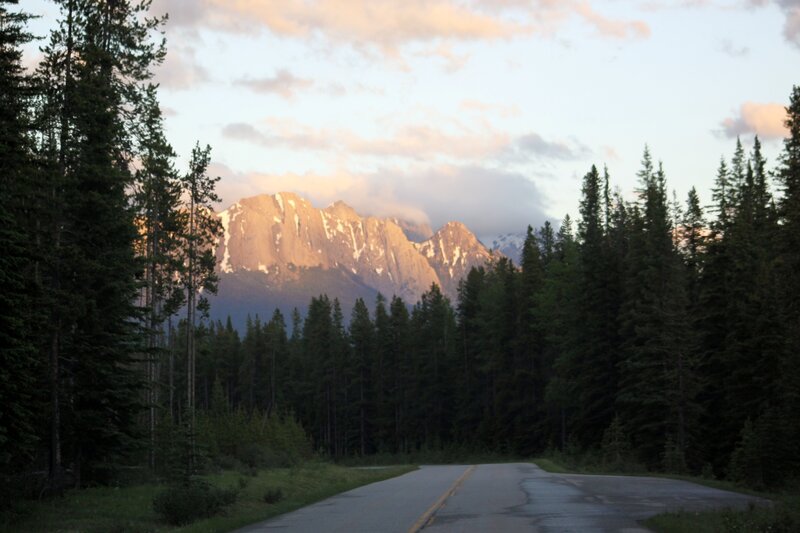 Mountain Road at Dusk — Green