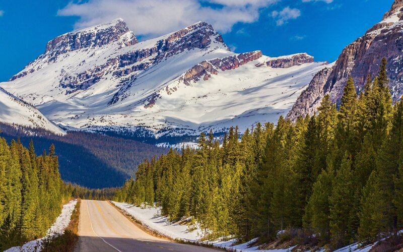 Mountain Road in Forest — Blue