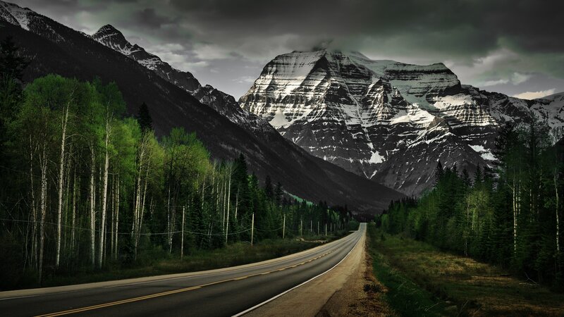 Mountain Road in Forest — Green, Dramatic