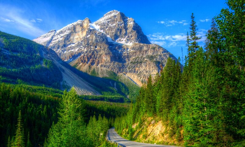Mountain Road in Forest — Green, Serene, Afternoon