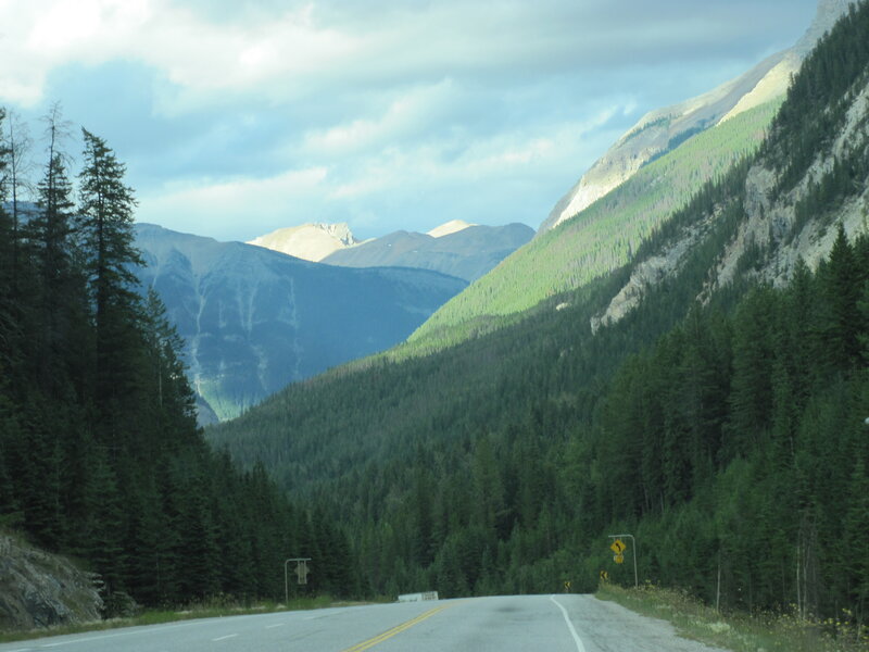 Mountain Road in Forest — Green