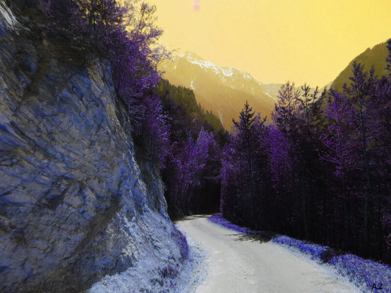 Mountain Road in Forest — Purple
