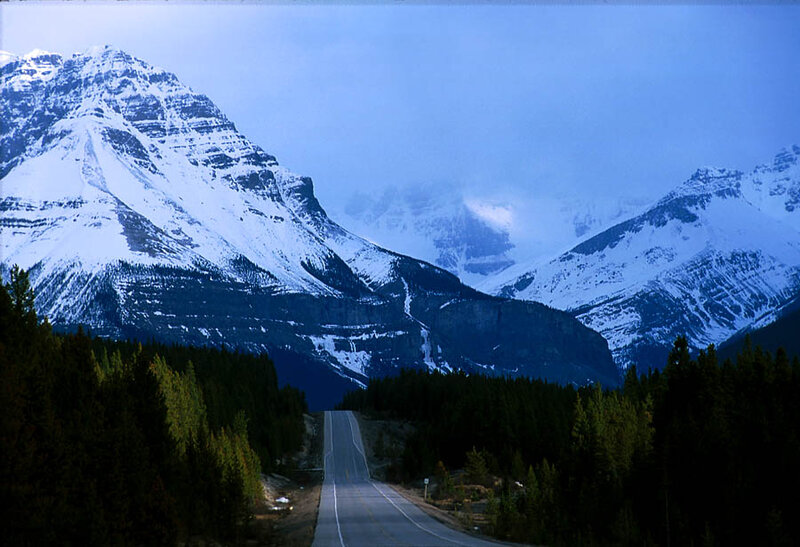 Mountain Road in Forest