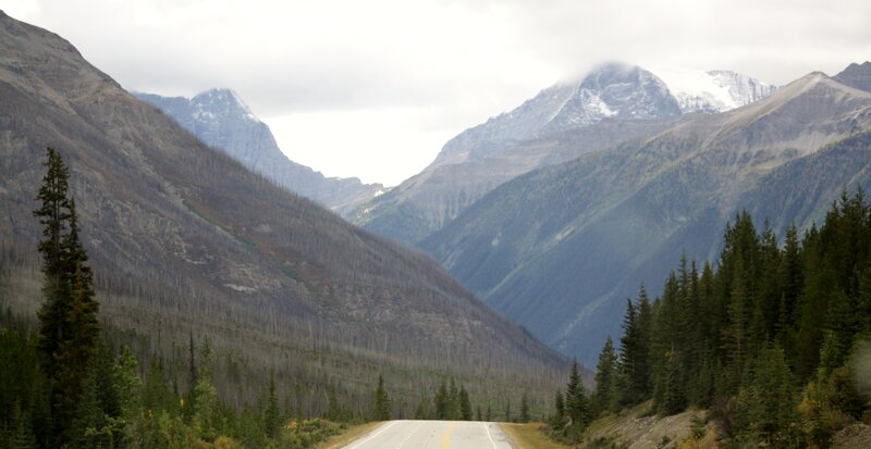 Mountain Road in Valley — Green
