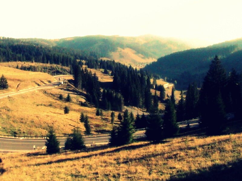 Mountain Road Landscape — Green