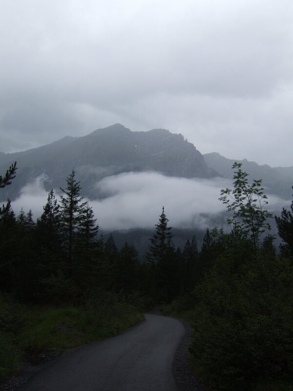 Mountain road through fog