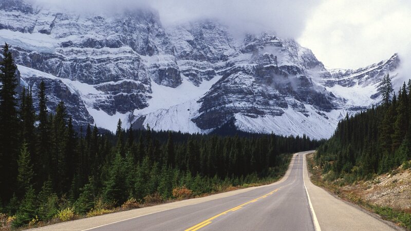 Mountain road through forest