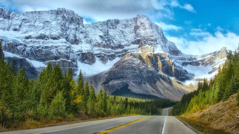 Mountain Road Through Forest — Blue